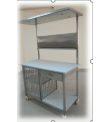 SEPA INSPECTION TABLE 48 X 24 X 36 + 36 CMS STAINLESS STEEL