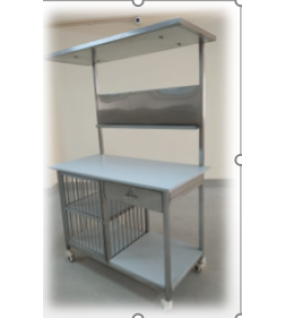 SEPA INSPECTION TABLE 48 X 24 X 36 + 36 CMS STAINLESS STEEL